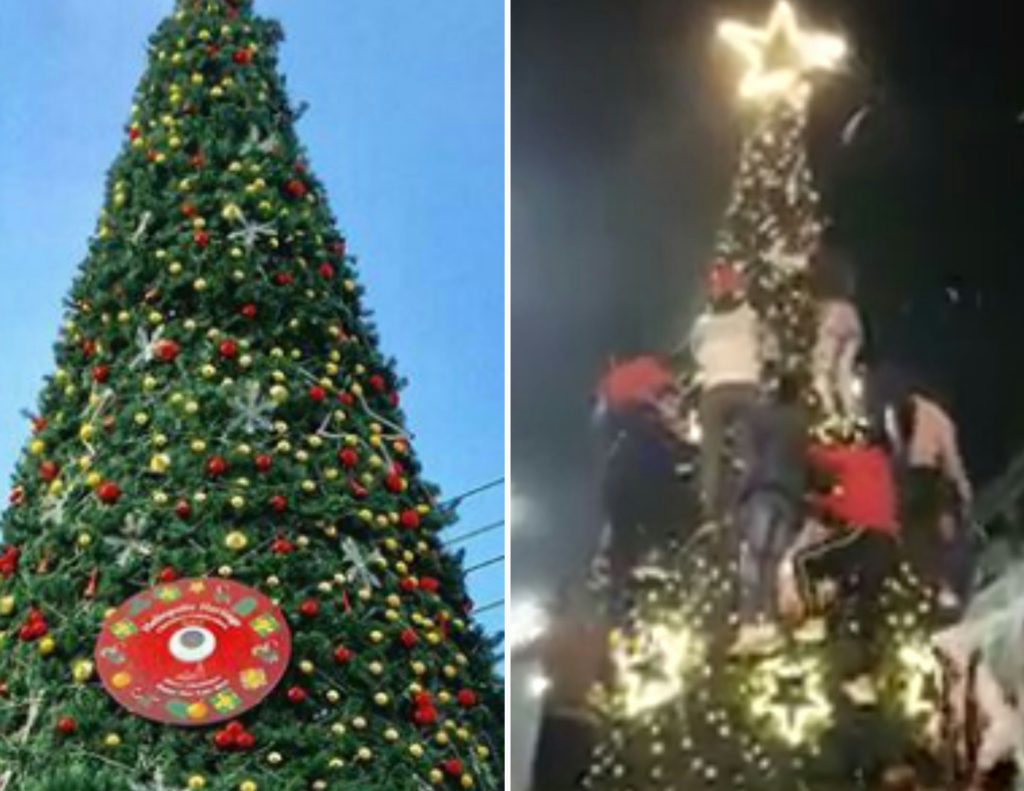 Viral Video: Men Spotted Vandalizing El-Korba’s Christmas Tree Just for Fun