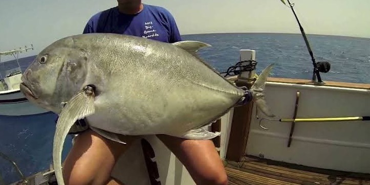 Egyptian Authorities Ban Fishing in the Red Sea for the Next 7 Months