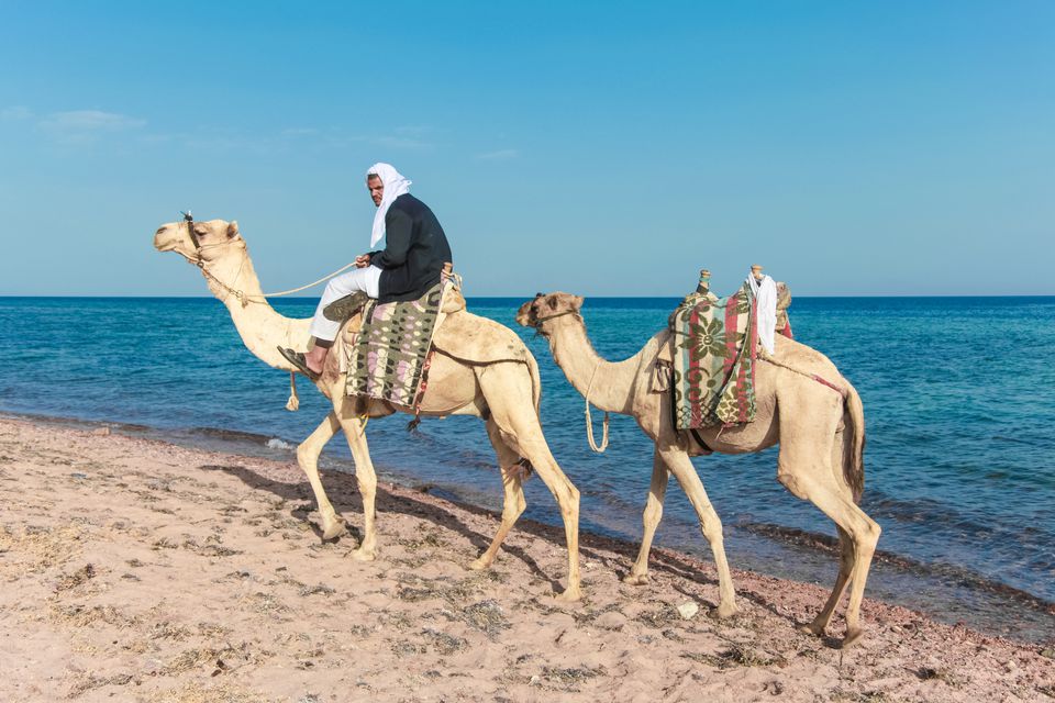 Dahab’s Bedouins Are Organizing Mass Clean Ups Of Their Landmarks