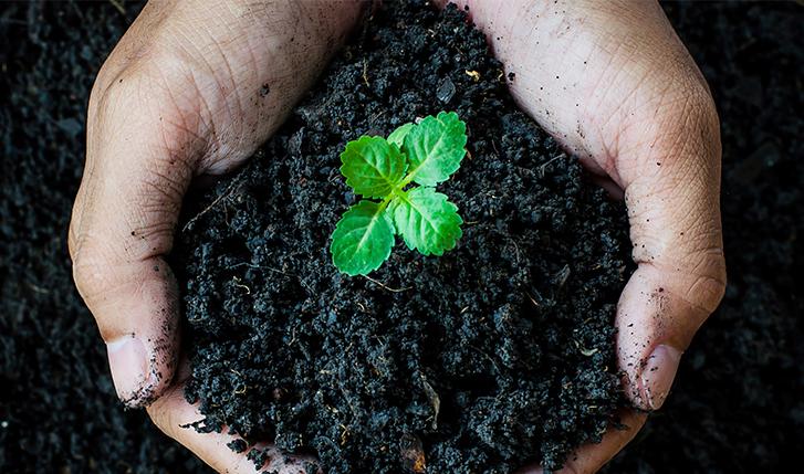 Composting: An Arab’s Guide to Combating Food Waste