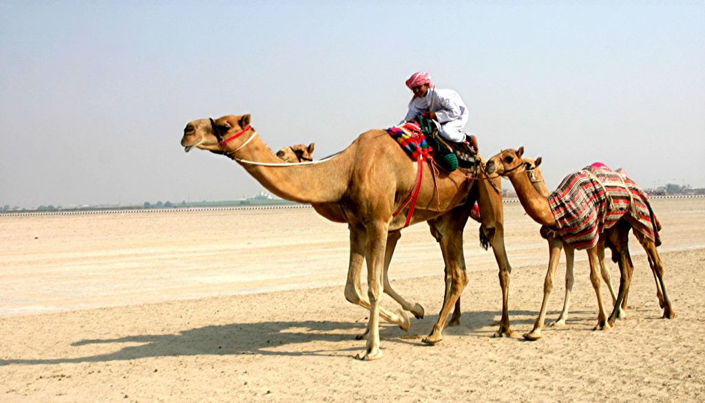 Travel Tips When Visiting the Middle East
