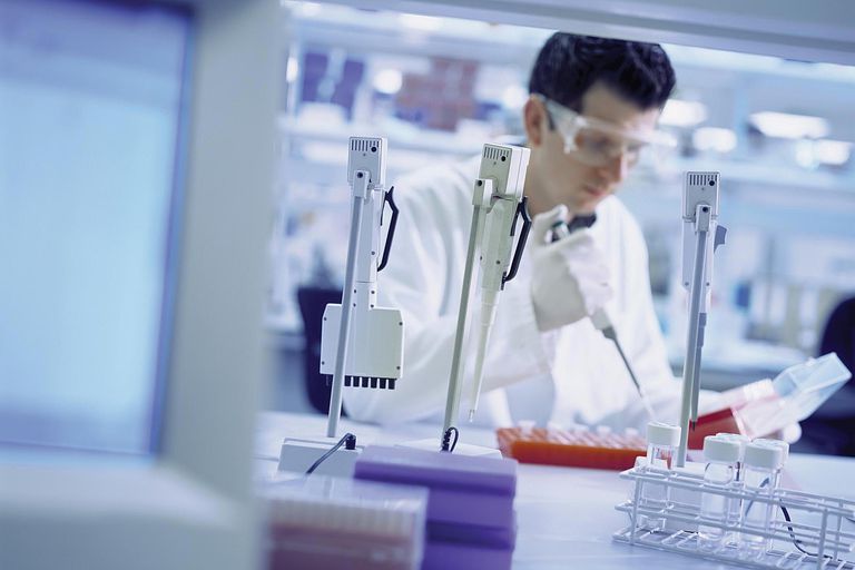 All You Should Know About Ancestry DNA Tests