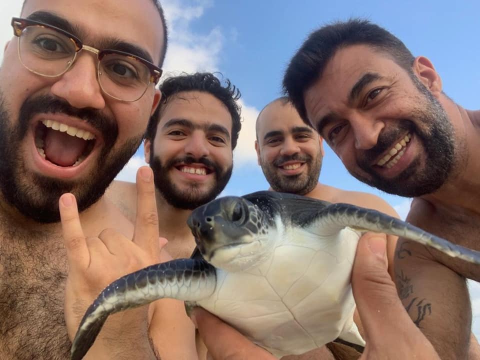 Video of Beachgoers Rescuing a Turtle Is All You Need to Restore Your Faith in Egypt
