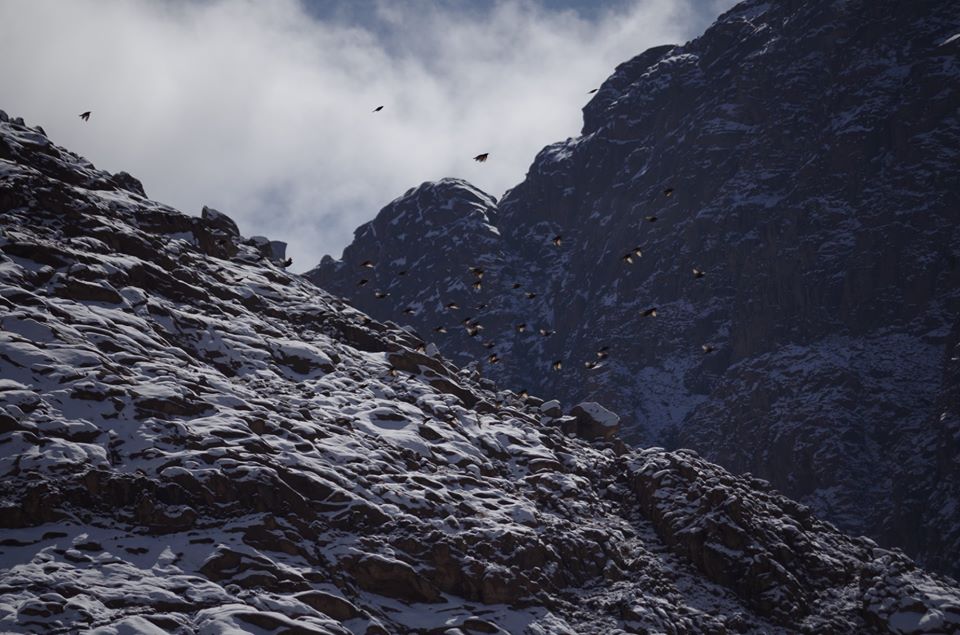 In Pictures: Stunning Scenes of Snowfall From Across the Middle East