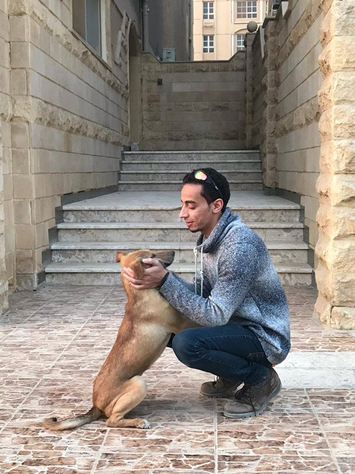 A Scoop Of Hope: This Young Man’s Poetic Narrative on Egypt’s Balady Dogs is The Sweetest Thing You’ll Hear Today