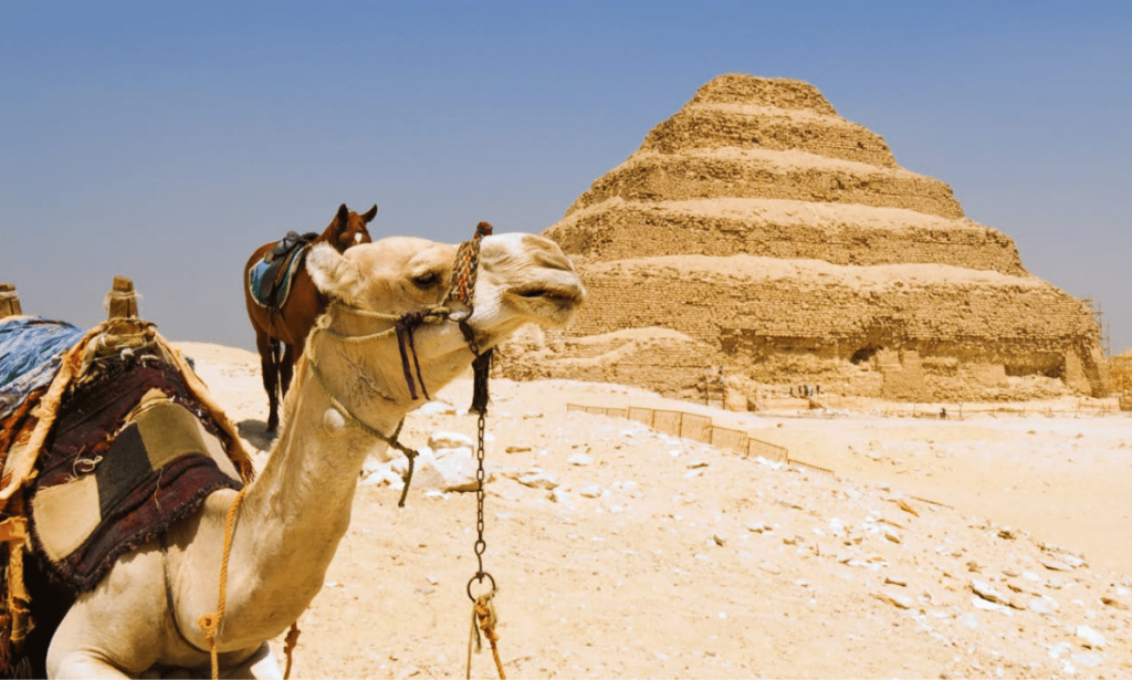Saqqara: Egypt’s Hidden Gem and the Discoveries Made Around the Ancient Necropolis