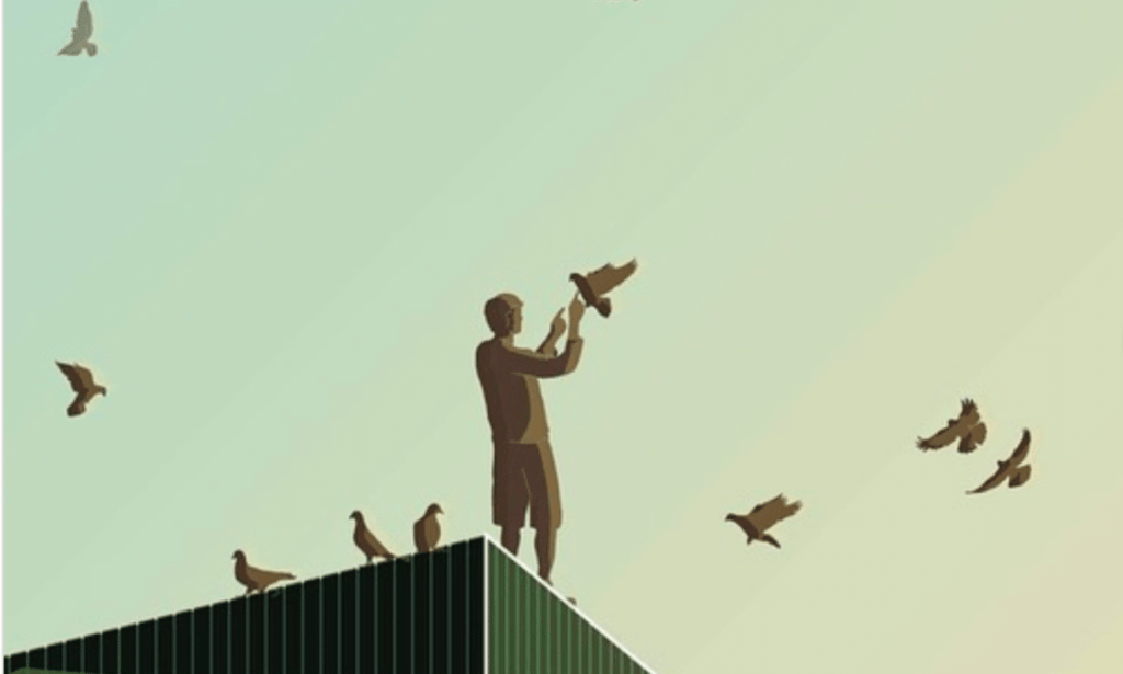 In Pictures: Mostafa Zohdy Captures the Forgotten Beauty of Cairo’s Informal Settlements