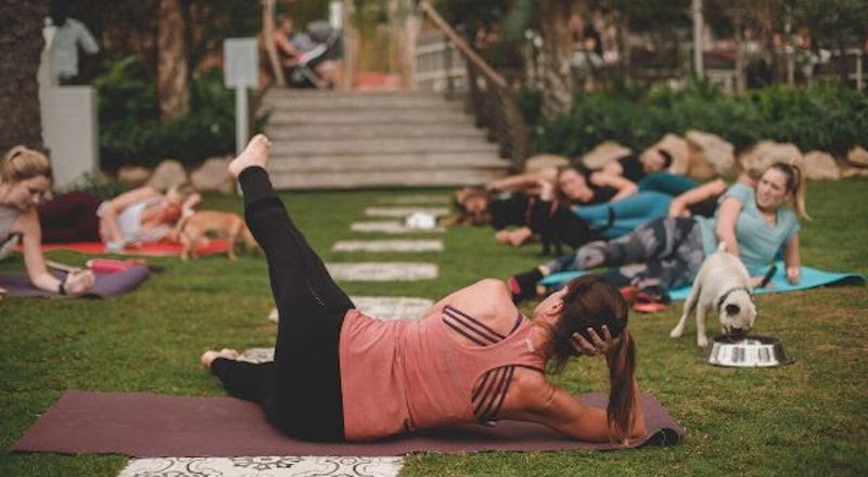 Who Needs the Gym When Dubai’s Bounty Beets is Hosting Puppy Pilates dubai-cafe