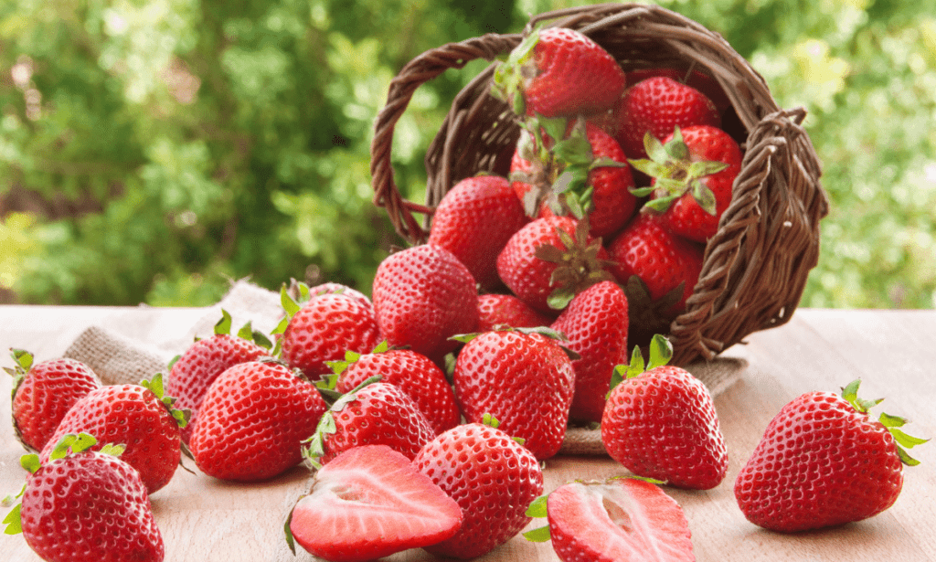 It’s Strawberry Season! Here Are 10 Delicious Christmas Recipes to Help You Celebrate