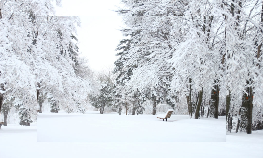 In Pictures: Middle Eastern Countries Turned Into Wonderland With A Blanket Of Snow!