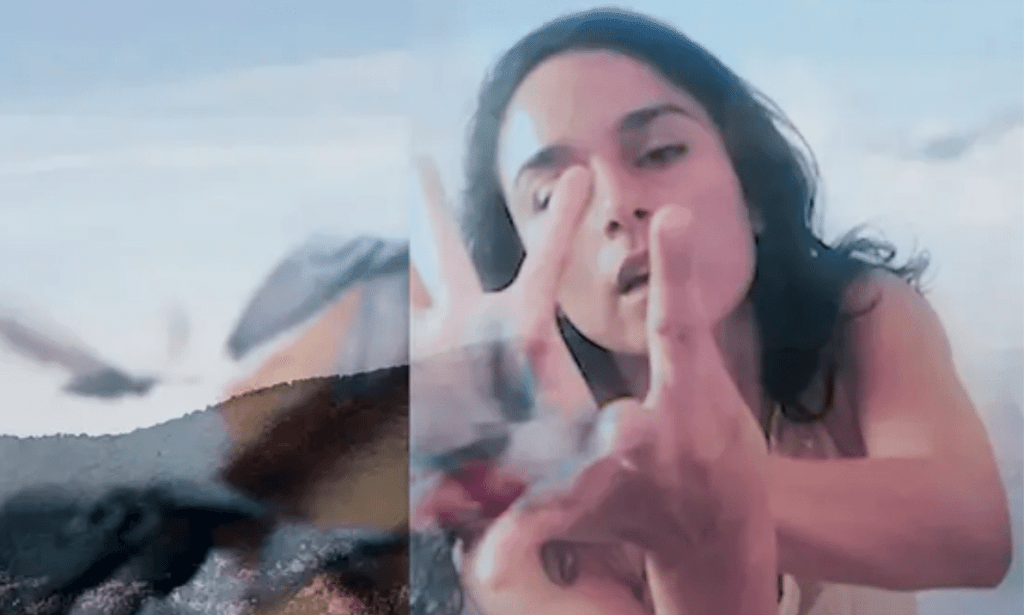 ‘Glimpses of a Future’: An Experimental Collaboration Reflecting an Artistic Post-Pandemic Future