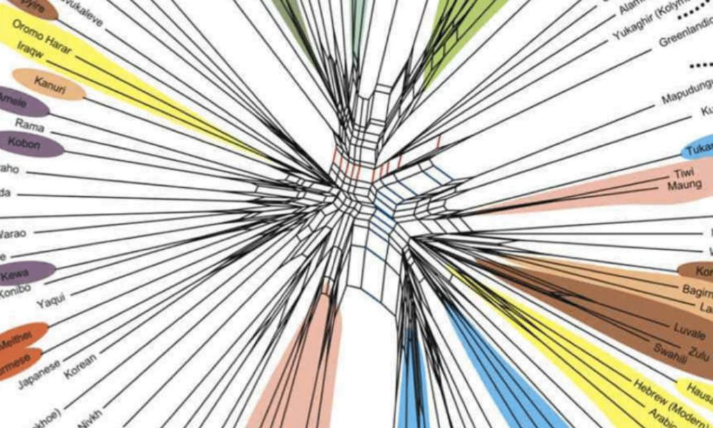 Then vs. Now – 10 Arabic Phrases That Have Evolved Over Time