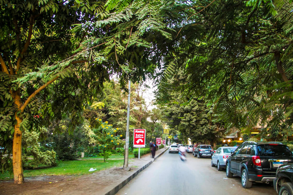 Concrete Over Greenery: Maadi Residents Speak up against New Highway Plans El-Maadi