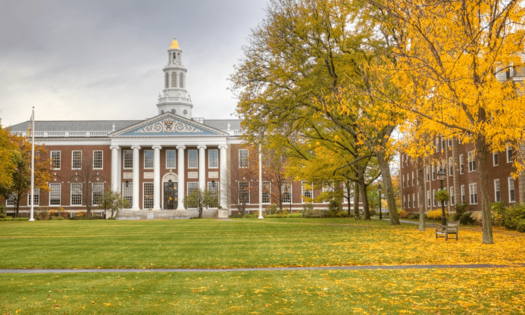 What Middle Eastern Studies do Harvard and Oxford Offer?