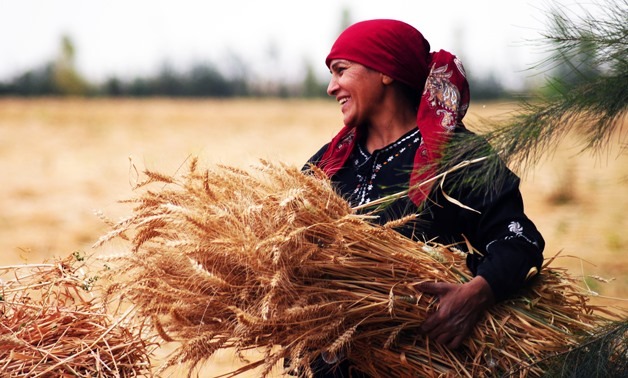 International Day of Rural Women: Giving Back to the Pillars of Society Rural women