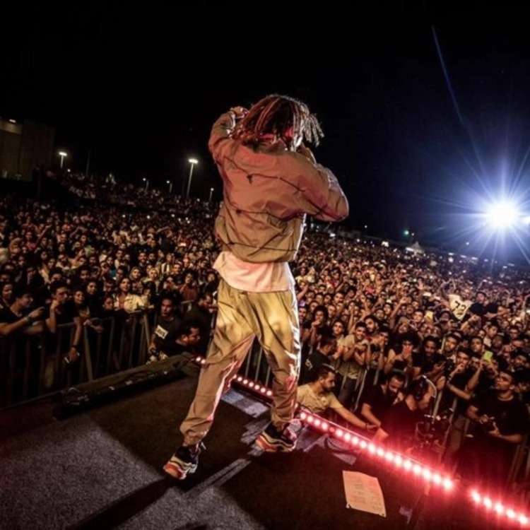 Concert Disasters: Who To Blame, The Artist, The Organizer Or The Crowd Themselves? concert organization