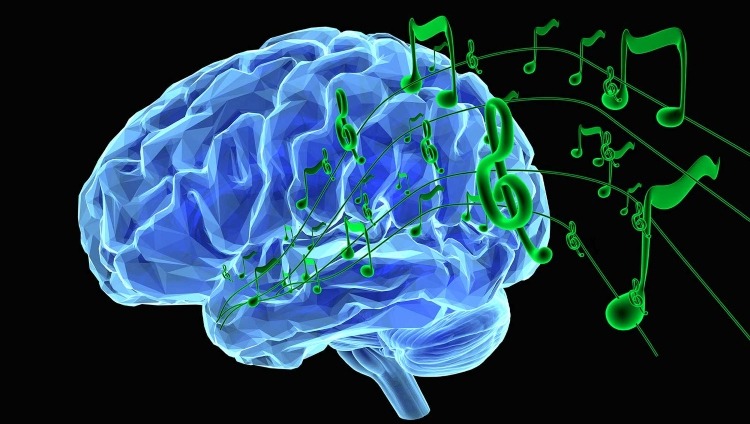 Music and the brain