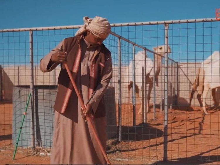 Saudi Arabia Dazzles us Again With World’s First Camel Hotel