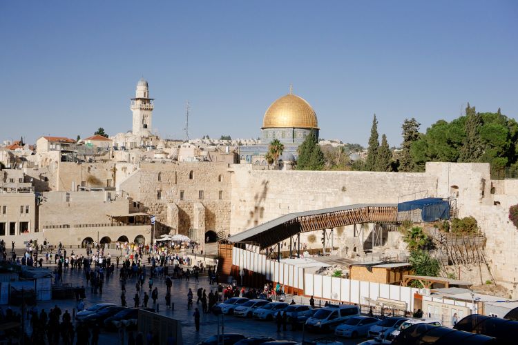 Six Most Beautiful Plants Found in the Middle East