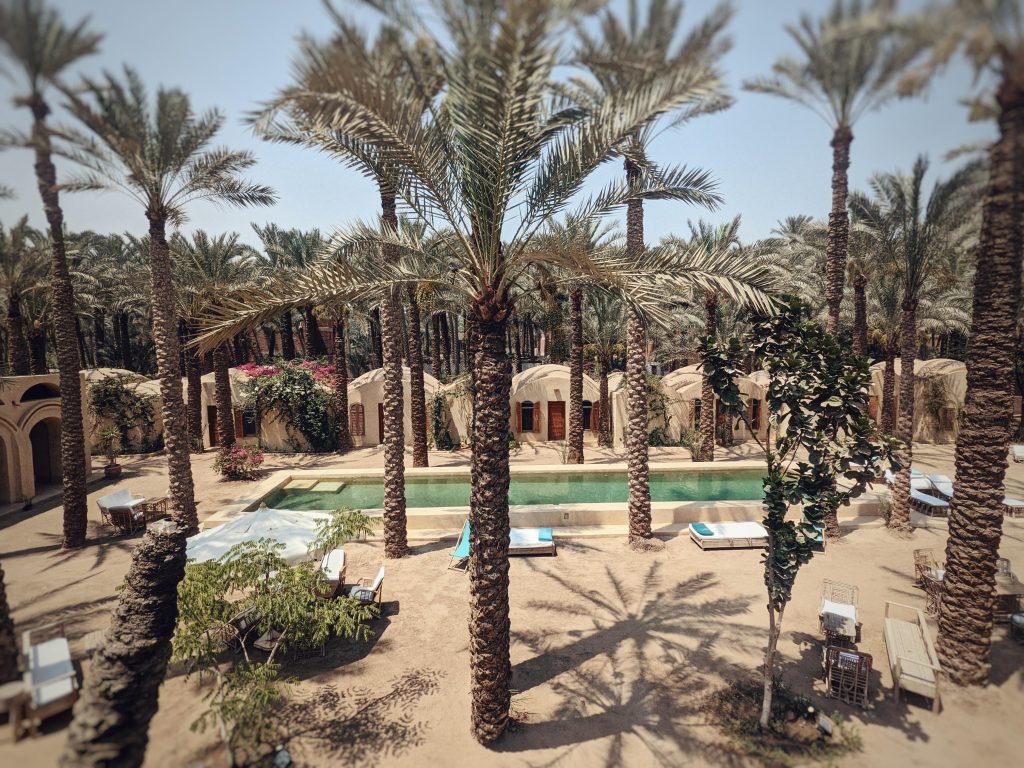 Yoga retreat centre Ardi in Dashur, Egypt