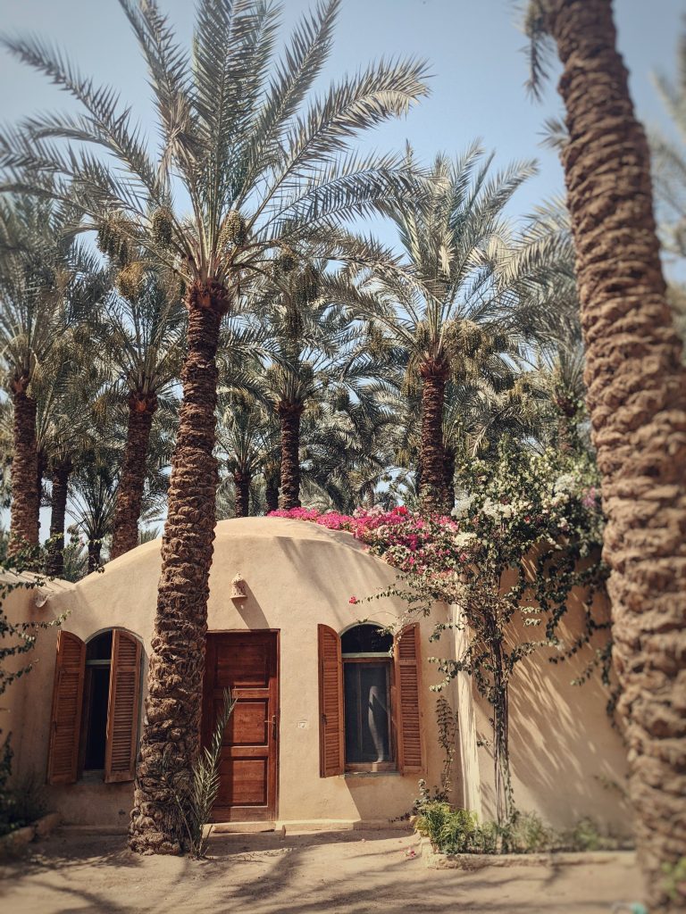Yoga retreat centre Ardi in Dashur, Egypt