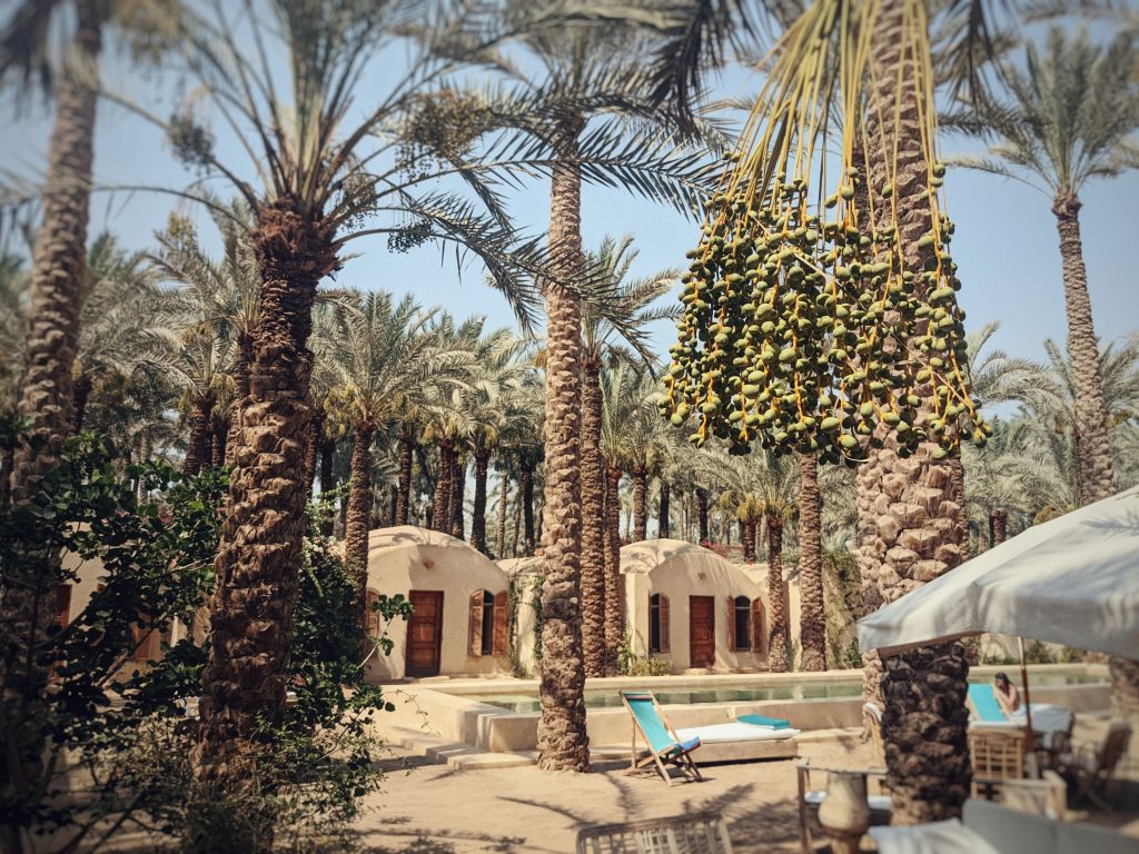Yoga retreat centre Ardi in Dashur, Egypt