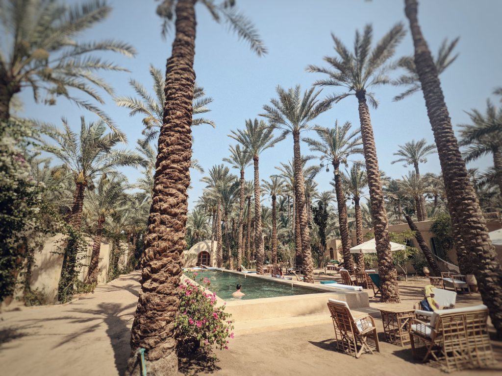 Yoga retreat centre Ardi in Dashur, Egypt