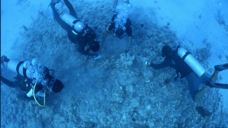 Uncovering The Red Sea: Saudi Arabia Launches New Research Project To Uncover Lost Heritage