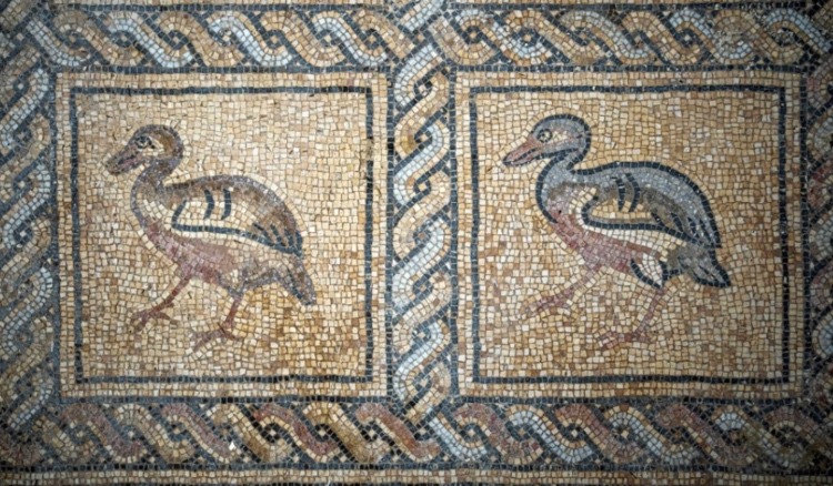 Byzantine-era Mosaic Discovered By A Palestinian Farmer While Planting An Olive Tree