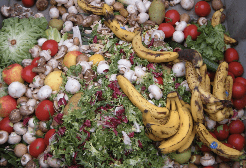 Waste Not, Want Not: Egypt’s Fight Against Food Waste