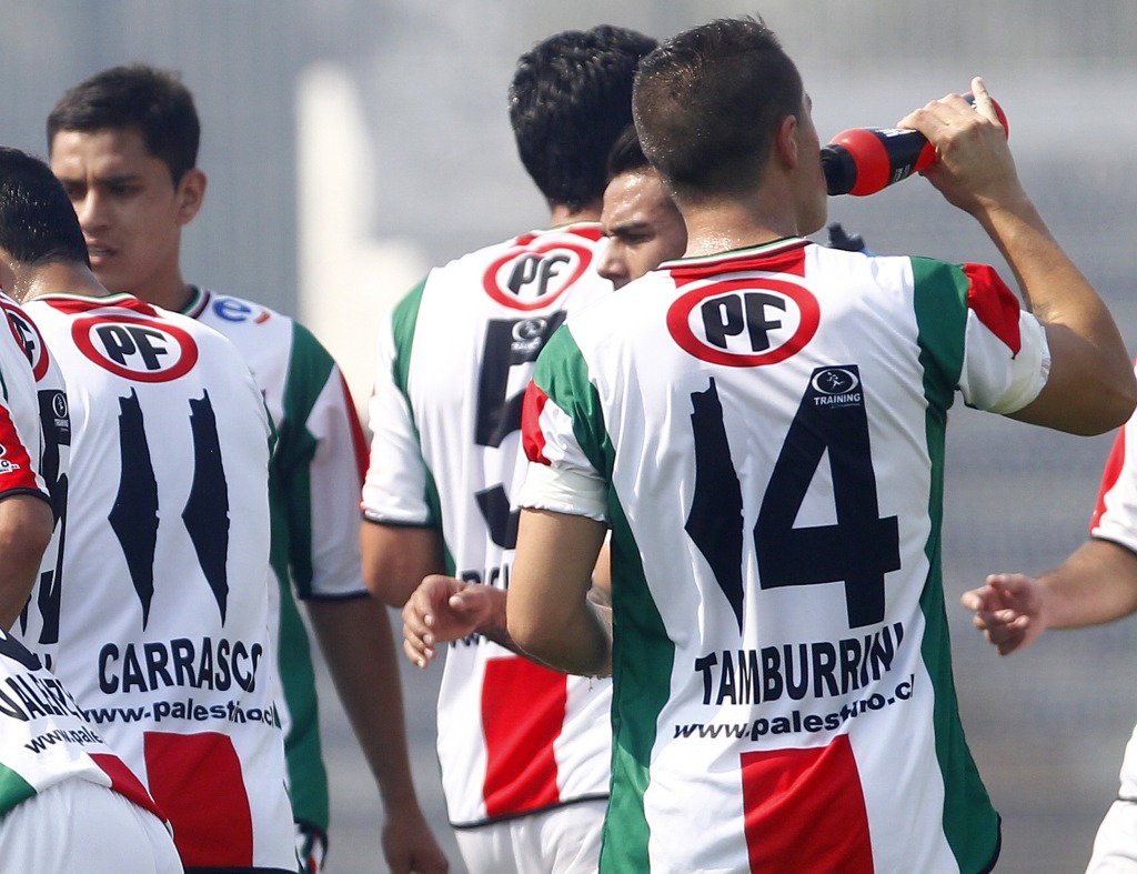 The Palestinian Football Club in Chile: Club Deportivo Palestino