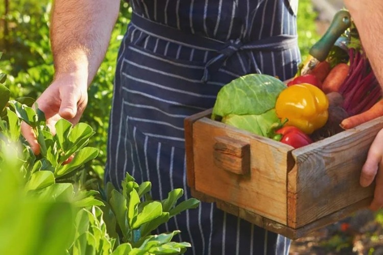 Arab-Led Farm to Table Initiatives: Bringing A Newfound Meaning To Sustainable Dining