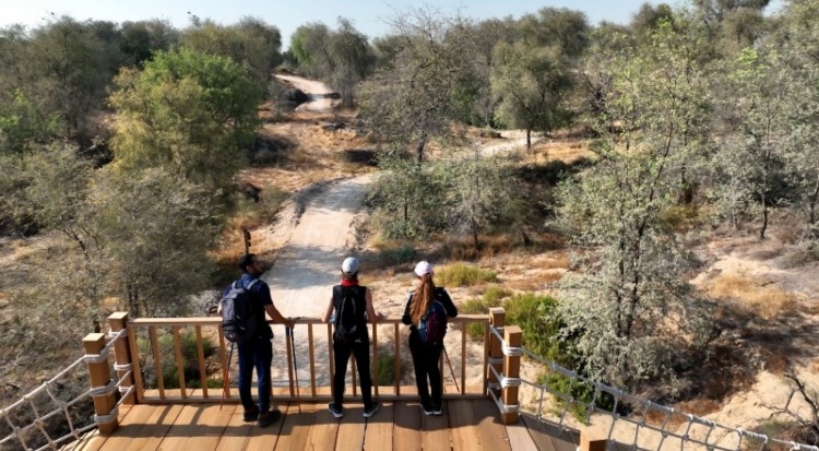 Experience Nature At Its Finest At Dubai’s New 10 km Hiking Trail