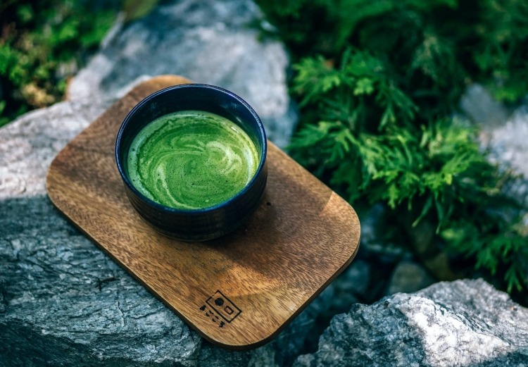 Can You Travel With Boost Bites Internationally? Here’s What You Must Know