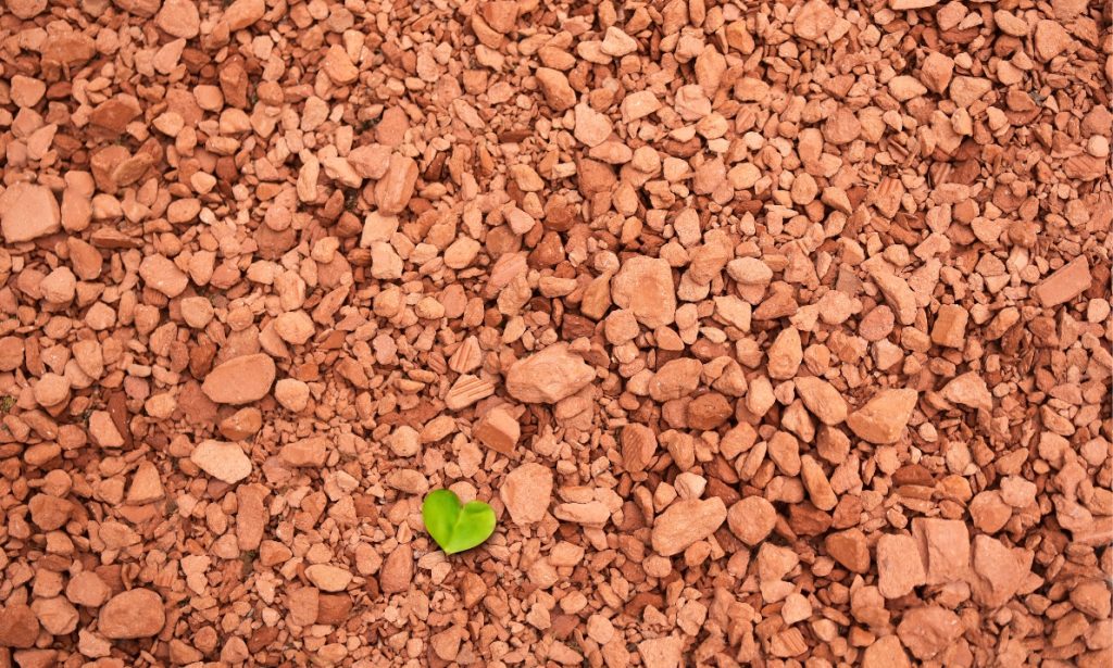 Gearing Up For COP28: UAE Proposes Plans For Water Scarcity