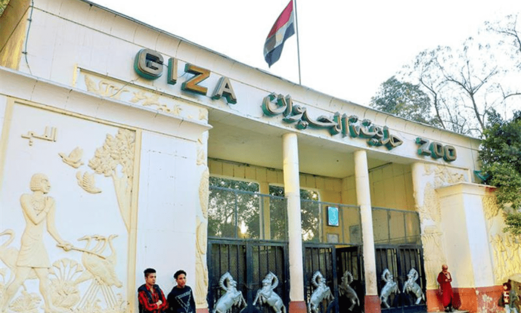 How We Wished Egypt’s Giza Zoo Would Actually Look Like