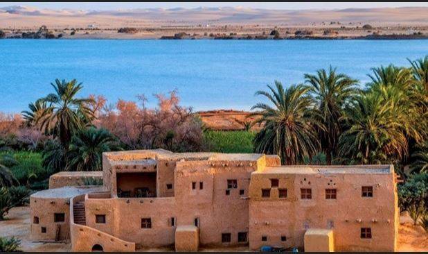 Siwa Oasis Shines: Middle East’s First Eco-Nursery Takes Root