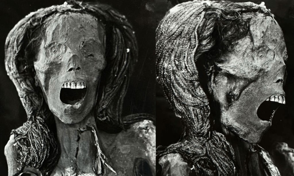The “Screaming” Mummy: CT Scans Reveal the Painful Truth Behind Her Agonizing Expression