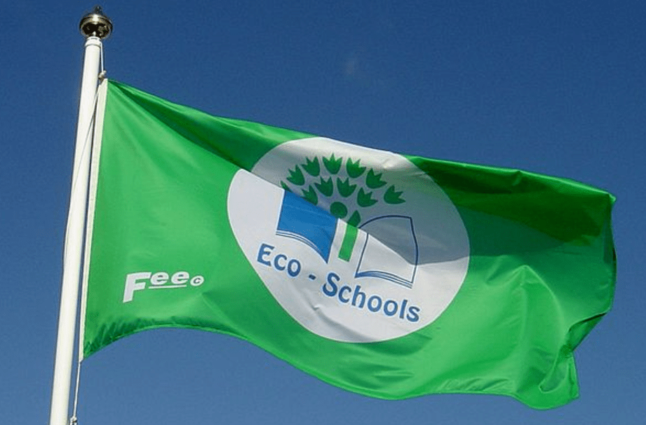 Sustainability Takes Root: CMU-Q Becomes MENA’s First EcoCampus Green Flag Winner