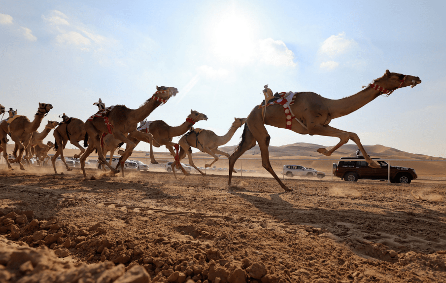 Liwa International Festival 2025: A Celebration of Culture and Motorsports