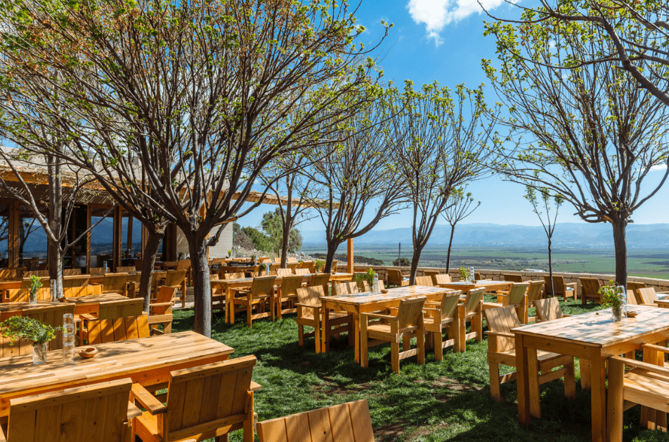 This World Environment Day, Check Out These Eco-Friendly Spots Across the Region