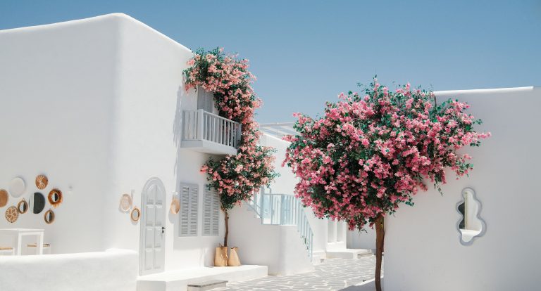 Destinations Across the Middle East That Feel Like a Trip Abroad